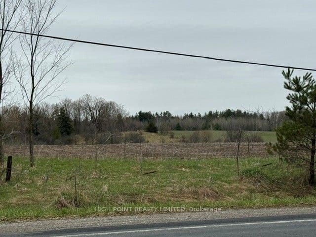 4219 Mt Albert Road, East Gwillimbury, ON L0G 1M0
